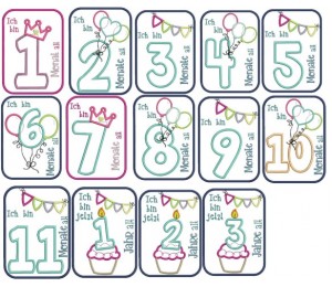 Stickserie ITH - Meilensteinkarten Monate Satin